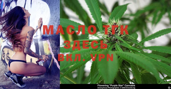 индика Верея