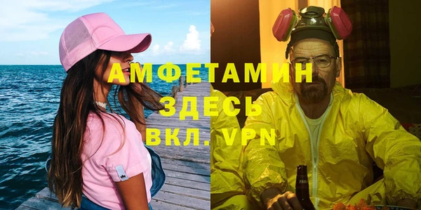 индика Верея