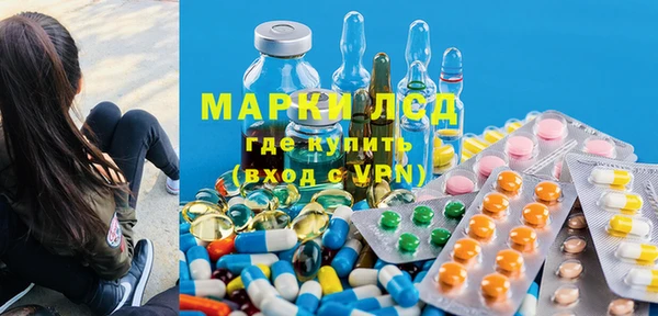индика Верея