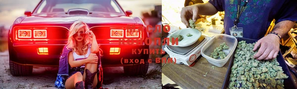 индика Верея