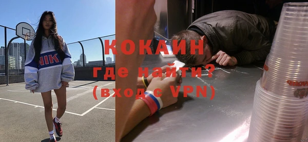 индика Верея